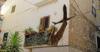 Copertina di Michele Fazio, il 15enne assassinato per errore a Bari, ha cambiato per sempre il volto della città