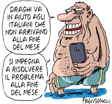 Copertina di La vignetta di Franzaroli