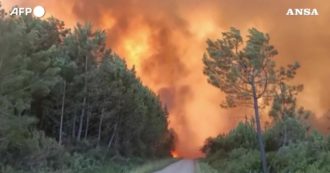 Copertina di Francia, bruciano mille ettari di foresta nel sud della Gironda: le impressionanti immagini