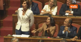 Copertina di Governo, bagarre in Senato tra Forza Italia e M5s: “Tornate a casa”, “andateci voi”. Interviene Casellati – Video