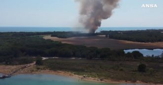 Bibione, incendio in una zona boschiva: fuoco e colonne di fumo ripresi dal drone – Video