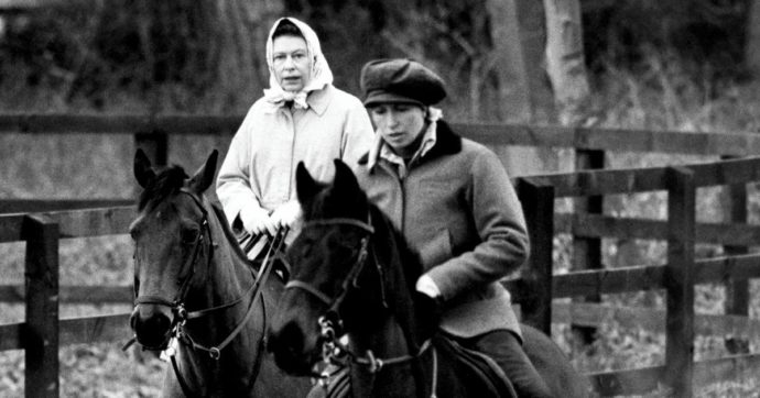 “Animali decimati”: la Regina ora è nel mirino del Guardian