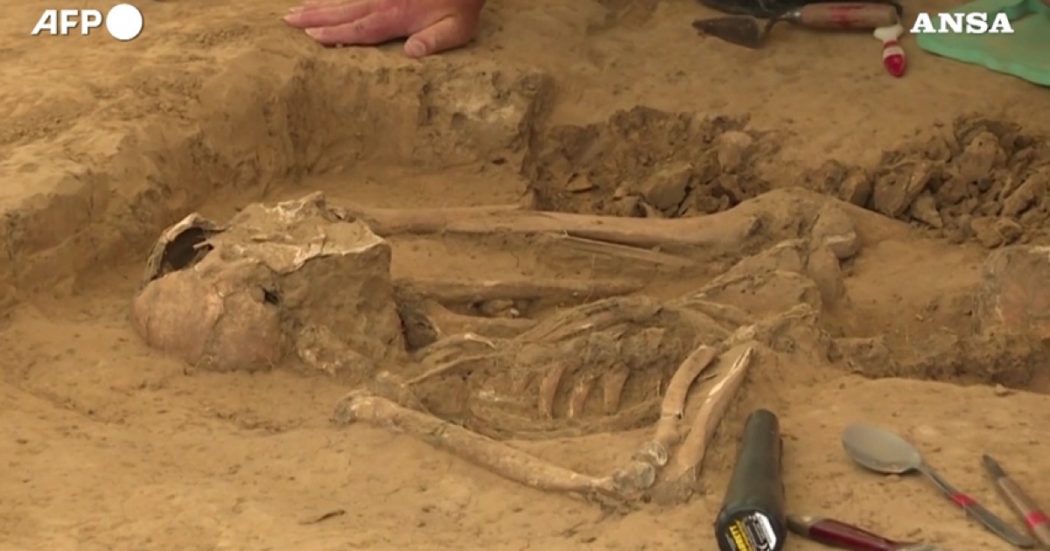 Waterloo, rinvenute ossa umane due secoli dopo la battaglia: gli archeologi al lavoro – Video