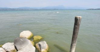 Copertina di Lago di Garda, fa il bagno e scompare: ricerche ancora in corso. Il 41enne era in barca con la moglie e i due figli piccoli