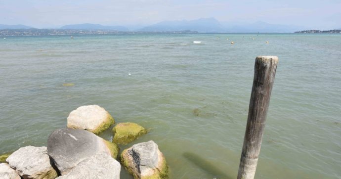 Lago di Garda, fa il bagno e scompare: ricerche ancora in corso. Il 41enne era in barca con la moglie e i due figli piccoli