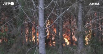 Incendi in Francia, bruciano i boschi nella regione della Gironda: già divorati 15mila ettari di vegetazione – Video