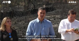 Copertina di Incendi in Spagna, Sanchez attacca: “Colpa del cambiamento climatico che uccide. Sta distruggendo i nostri beni più preziosi”