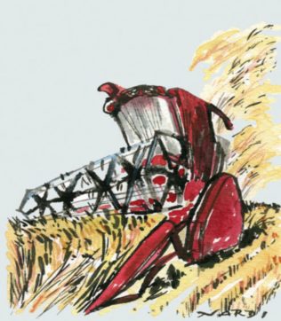 Mietitura, che grande spettacolo!