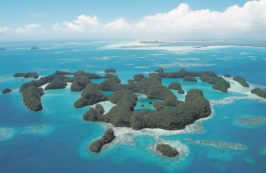 Copertina di Palau,  fuga dal paradiso per colpa dell’uomo