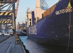 Copertina di Calabria, partono i veleni e  restano i guai