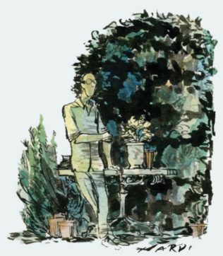 Annaffiare, quel patto con le piante