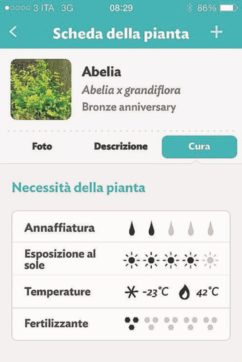 Il pollice verde dentro  un click