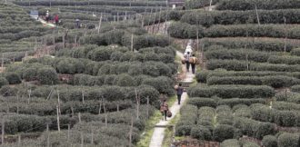 Copertina di Pechino dichiara guerra alle bustarelle