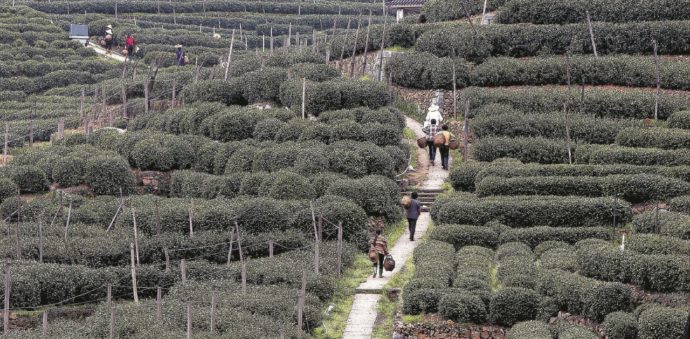 Pechino dichiara guerra alle bustarelle