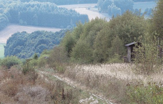 La cortina di ferro ora è diventata verde