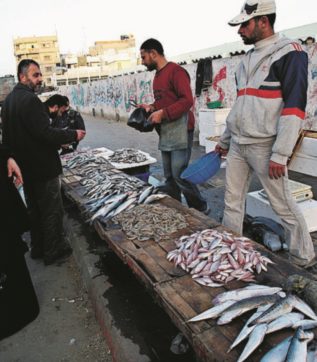 Gaza, il ritorno  alla normalità  è un giorno di pesca