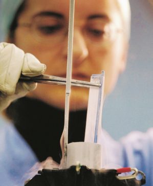 Eterologa ed è subito caos Le regioni si spaccano