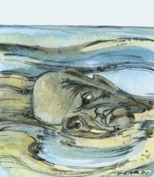 Mucillagine per il signor ministro