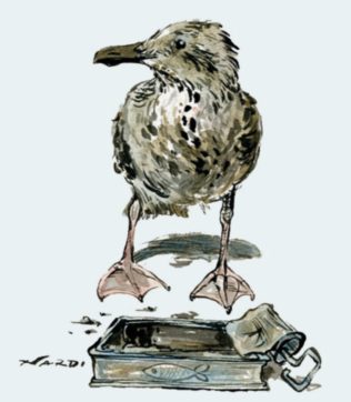 Il gabbiano non sa più pescare