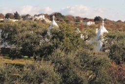 Copertina di Un fiume di cemento tra i trulli e gli ulivi