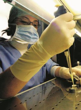 Eterologa, la norma non conosce dogmi