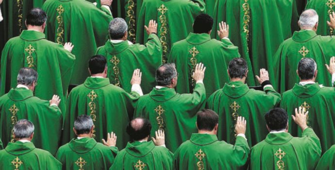 Copertina di L’assemblea  dei vescovi che indirizza la Chiesa