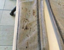 Copertina di Caso Cucchi, nuova teste:  non camminava