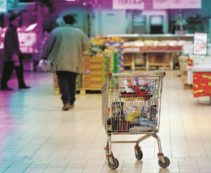 Copertina di Viaggio al termine  delle alette di pollo: l’Italia dei discount