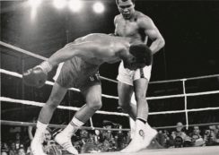 Copertina di I 40 anni del ko del Secolo