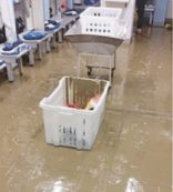 Copertina di L’Entella: “Domenica giochiamo per la città”