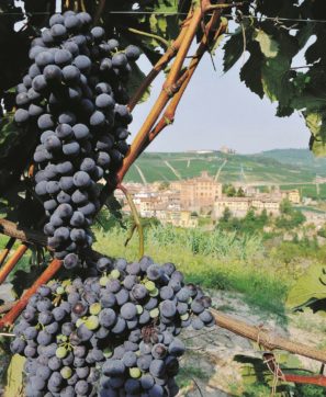 Copertina di Monferrato celebra il paesaggio del vino, un asset da 3 miliardi