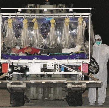 Ebola, grave il medico italiano di Emergency