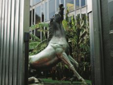 Copertina di Caos Rai Movie, mazzette sui diritti: dirigente indagato