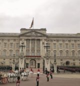 Copertina di “Ugly Ray” in cella, la retata dei pedofili  non finisce più