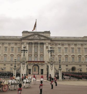 “Ugly Ray” in cella, la retata dei pedofili  non finisce più