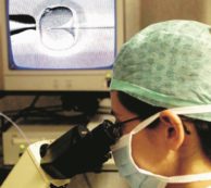 Copertina di Corte Ue: ovulo umano brevettabile