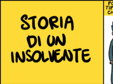 Copertina di Storia di un insolente