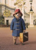 Copertina di Paddington, il senzatetto inglese che ha conquistato il mondo