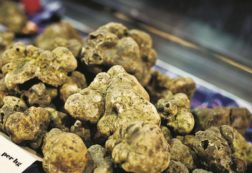 Copertina di Le tasse si mangiano i tartufi migliori