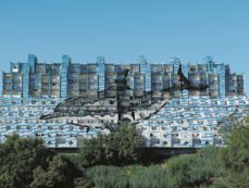 Copertina di Le tante “Lavatrici”  che dominano  la collina di Genova