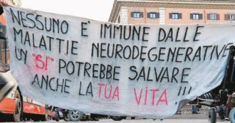 Copertina di Metodo Stamina, Vannoni e soci: sì  al patteggiamento