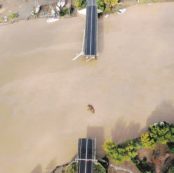 Copertina di Il comune occupato e la città dimenticata