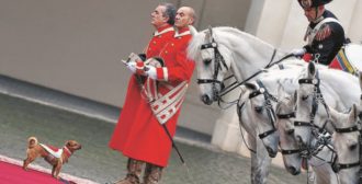 Copertina di Briciola, la cagnetta dei Carabinieri che sfida il protocollo