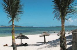 Copertina di L’Eni in Mozambico  e quel terreno  da sogno per Scaroni