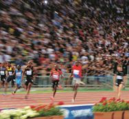 Copertina di Premiata Farmacia Atletica