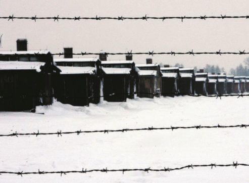 Copertina di Salvate il memoriale di Auschwitz