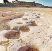 Copertina di Il Jurassic Park dei nostri sogni