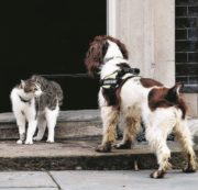 Copertina di Regno Unito, bipartitismo addio