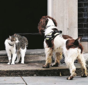 Regno Unito, bipartitismo addio