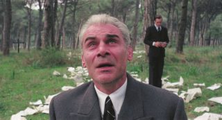 Copertina di Amore e cazzotti, così nasce la commedia sentimentale